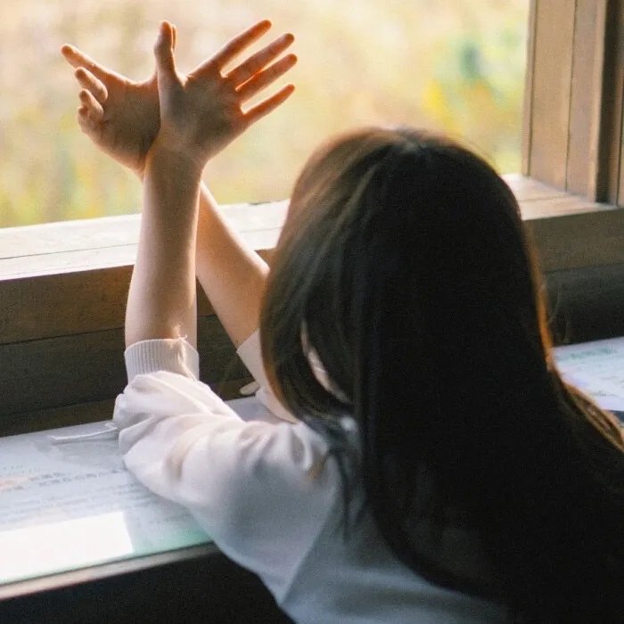 虐完夫人后叶少他疯了